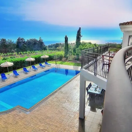 Impressive Large Huge Heated Pool Garden